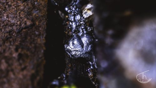 caillassage-7-sur-13